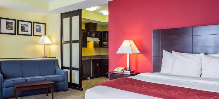 岩石丘曼彻斯特梅多斯区舒适套房酒店(Comfort Suites Rock Hill Manchester Meadows Area)图片