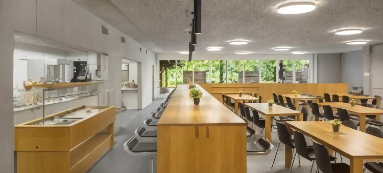 洛桑青年旅馆(Lausanne Youth Hostel Jeunotel)图片