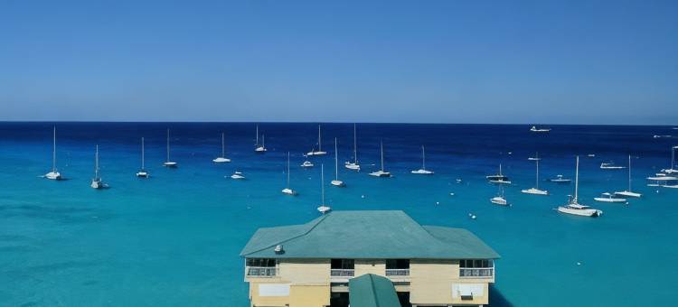 巴巴多斯丽笙水岸度假村(Radisson Aquatica Resort Barbados)图片