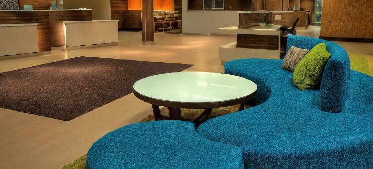 蒙哥马利机场南万枫酒店及套房(Fairfield Inn & Suites Montgomery Airport South)图片