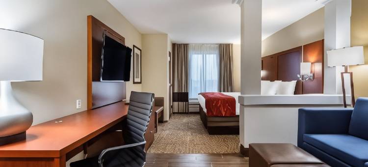 舒适套房酒店(Comfort Suites Bowling Green Southeast)图片
