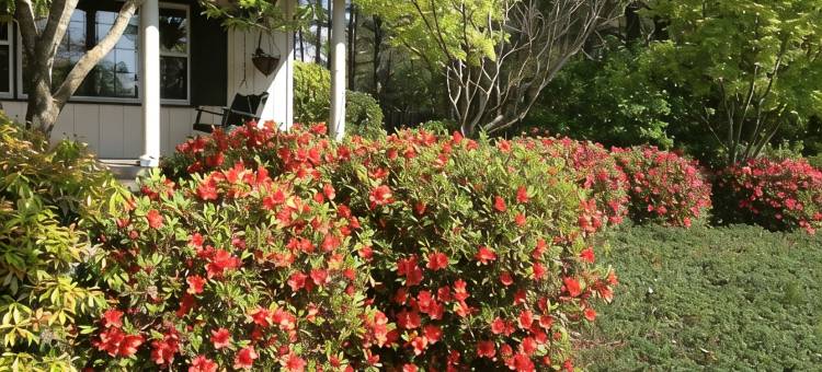 坦格伍德农场-狐狸窝套房马场内1卧1卫私人公寓(Tanglewood Farm - Fox Den Suite 1 Br/1BA Private Apartment on Horse Farm)图片