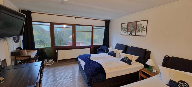 Sankelmarker See座看湖酒店(Hotel Seeblick am Sankelmarker See - Natur Und Erholung)图片
