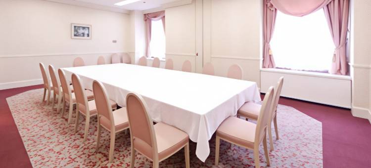 富山格兰露台酒店(Hotel Grand Terrace Toyama)图片