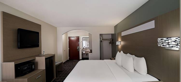 品质酒店及套房-欧文DFW机场南(Quality Inn & Suites DFW Airport South)图片
