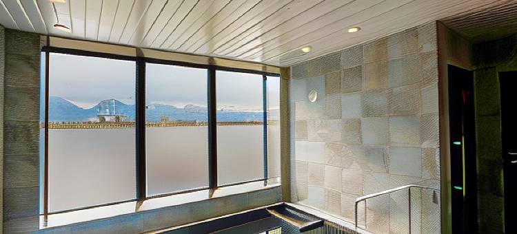 熊本永安国际精选酒店(Hotel Wing International Select Kumamoto)图片