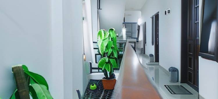 Lia Homestay Syariah Pettarani Makassar Mitra RedDoorz图片
