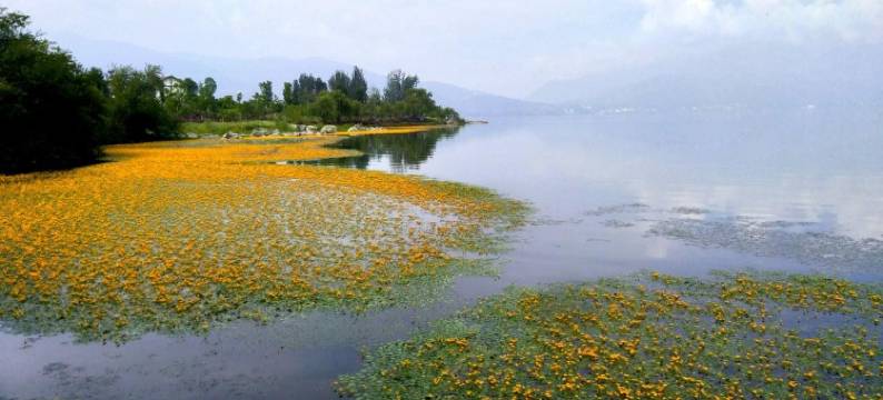 邛海观海落日熔金2民宿(航天大道分店)图片