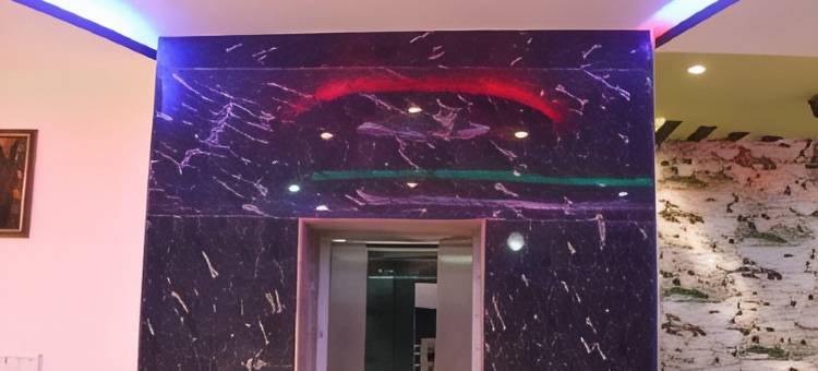 达拉吉宫酒店(Hotel Dhanraj Palace)图片