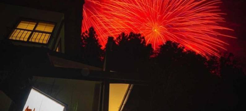 旅馆 比与志(Ryokan Hiyoshi)图片