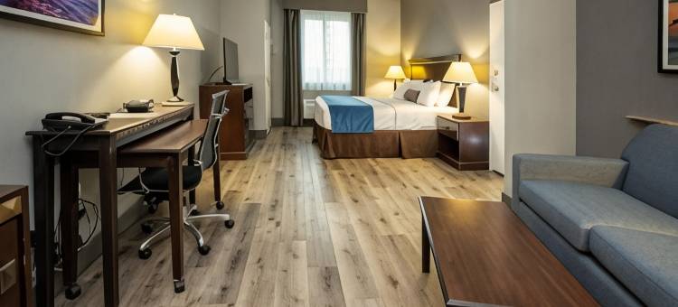 西布鲁克- 克马赫舒适套房酒店(Comfort Suites Seabrook - Kemah)图片