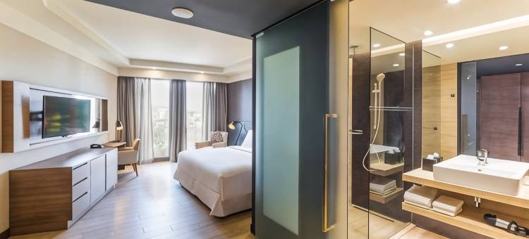 巴马科丽笙精选酒店(Radisson Collection Hotel Bamako)图片