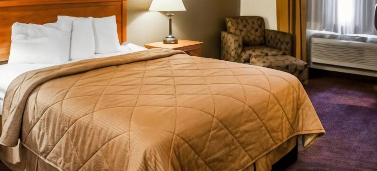 罗德威旅馆(Rodeway Inn)图片