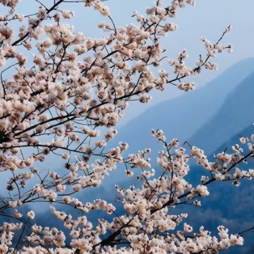 随州大洪山风景名胜区2日1晚私家团