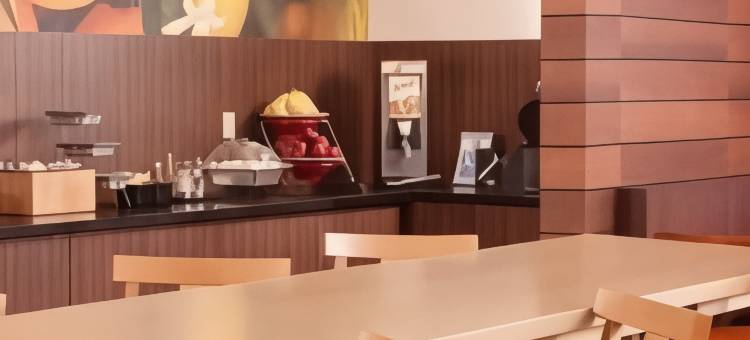 夏洛特加斯托尼亚万枫酒店(Fairfield Inn Charlotte Gastonia)图片