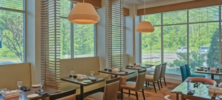 芒特劳雷尔希尔顿花园酒店(Hilton Garden Inn Mt. Laurel)图片