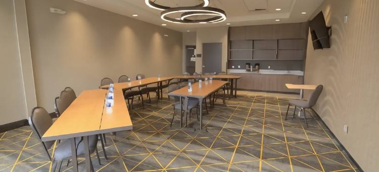 霍普金斯维尔会议中心假日套房酒店(Holiday Inn & Suites Hopkinsville - Convention Ctr)图片