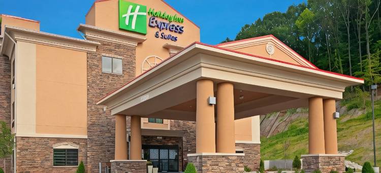 智选假日套房酒店里普利(Holiday Inn Express & Suites Ripley)图片