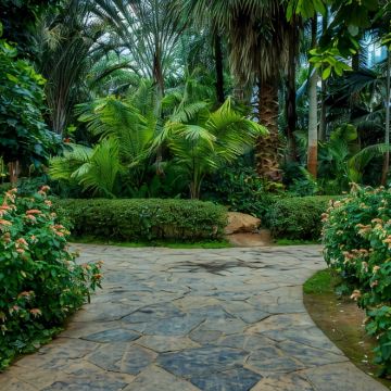 新加坡+马尔代夫马累8日7晚私家团