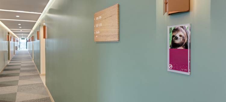 希尔顿逸林酒店-瓜纳卡斯特机场(Hampton by Hilton Guanacaste Airport)图片