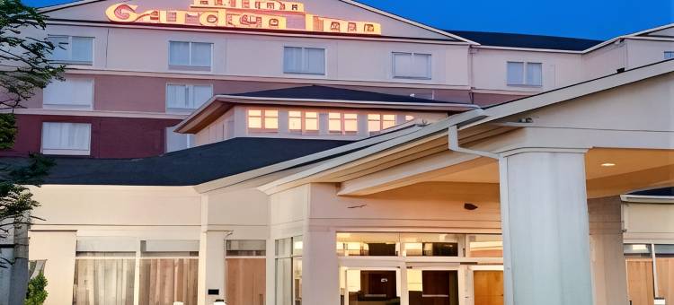 埃德蒙顿国际机场希尔顿花园酒店(Hilton Garden Inn Edmonton International Airport)图片
