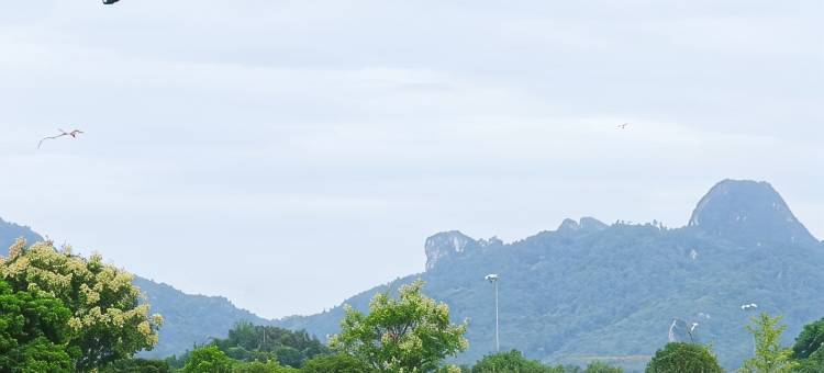 水岸帝景民宿(晴岚景区店)图片