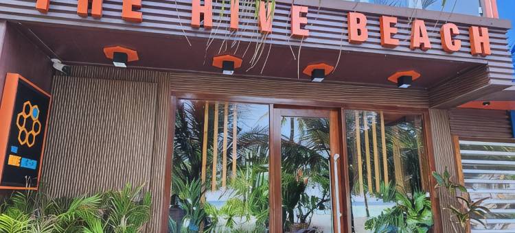 The Hive Beach图片