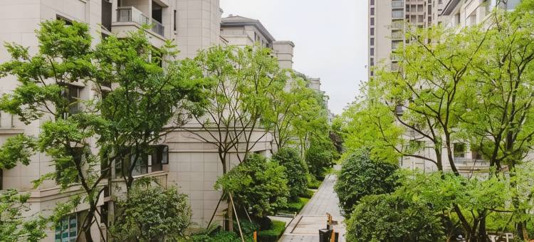 椰子公寓(成都兴隆湖华府锦城店)图片