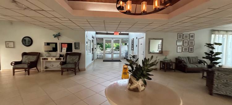 棕榈树湾-海滨;绝美部分海景民宿!(Palm Tree Cove - Stunning Partial Ocean Views; Beachfront Location!)图片