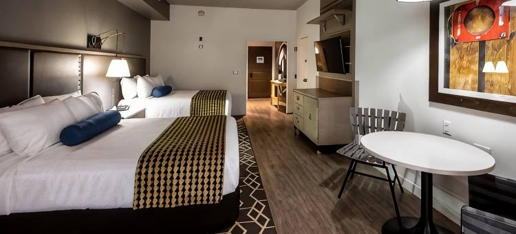 哈蒂斯堡英迪格酒店(Hotel Indigo HATTIESBURG by IHG)图片