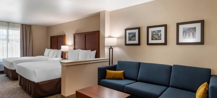 舒适酒店及套房(Comfort Inn & Suites)图片