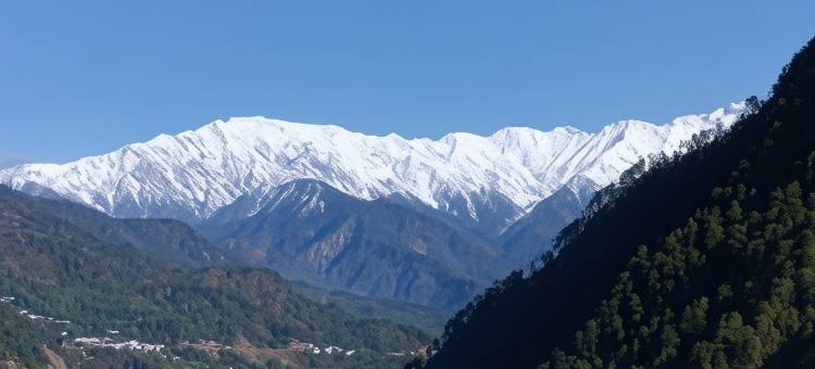 萨尔瓦希特(Sarvaheet)图片
