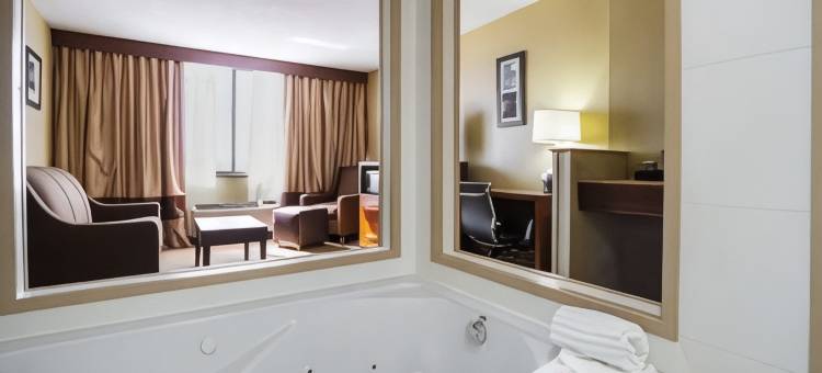 市中心舒适酒店(Comfort Inn Downtown)图片