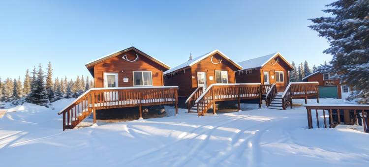 阿拉斯加云杉小屋酒店(Denali's Alaskan Spruce Cabins)图片