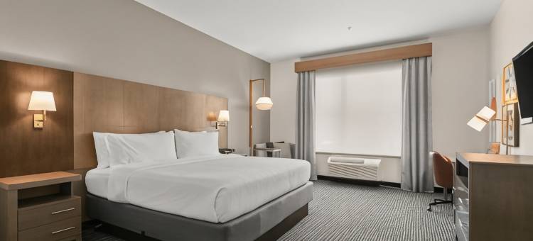 洲际酒店集团假日酒店 冈萨雷斯(Holiday Inn Gonzales)图片