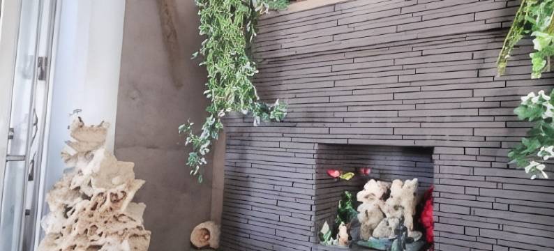 读谷比奥托普客房酒店(Room Biotop Yomitan)图片