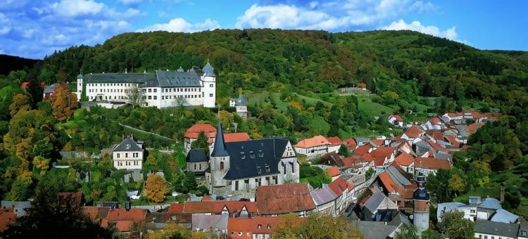 小皇宫假日公寓酒店(Le Petit Palais - Hotel/Pension)图片