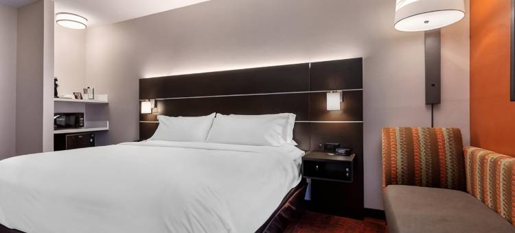 大都市智选假日酒店(Holiday Inn Express Metropolis)图片