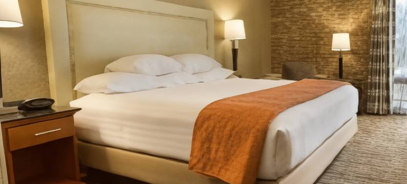 奥斯汀北德鲁里套房酒店(Drury Inn & Suites Austin North)图片