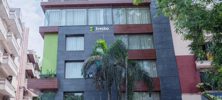 Treebo 双树(Treebo Twin Tree)图片