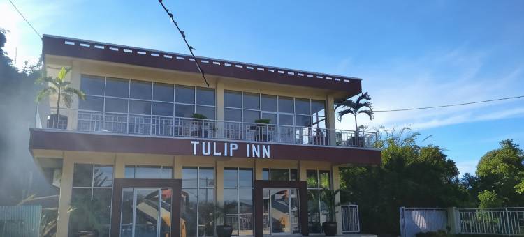 Tulip Inn Tomohon图片
