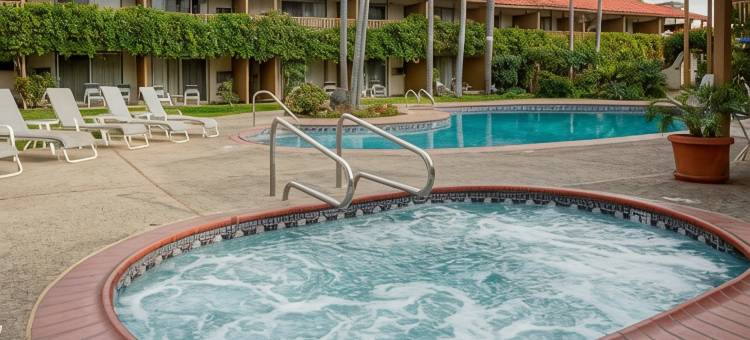 胡椒树贝斯特韦斯特优质酒店(Best Western Plus Pepper Tree Inn)图片