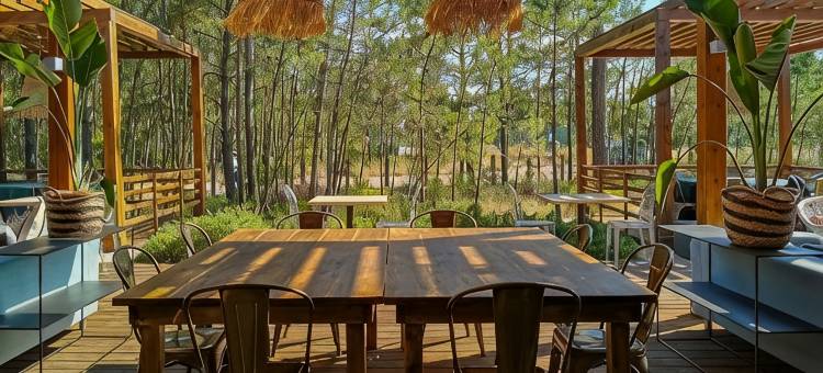 佩斯塔纳特罗亚生态度假酒店(Pestana Troia Eco-Resort & Residences)图片