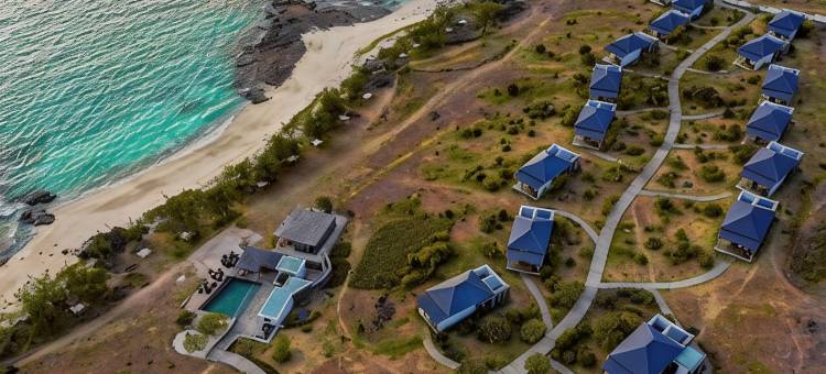 康斯坦斯-Tekoma(Constance Tekoma)图片