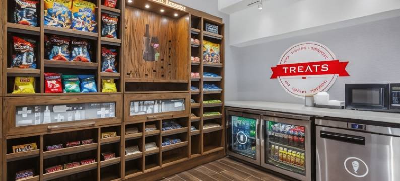 希尔顿欢朋酒店及套房 多伦多市中心(Hampton Inn & Suites by Hilton Toronto Downtown)图片