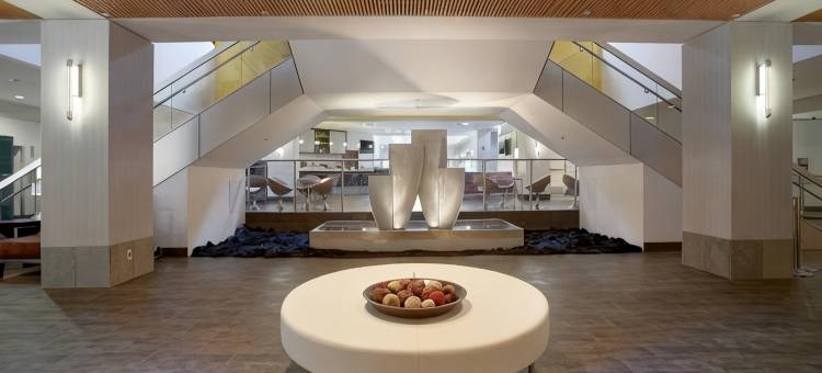 圣何塞/米尔皮塔斯希尔顿花园假日酒店(Hilton Garden Inn San Jose/Milpitas)图片