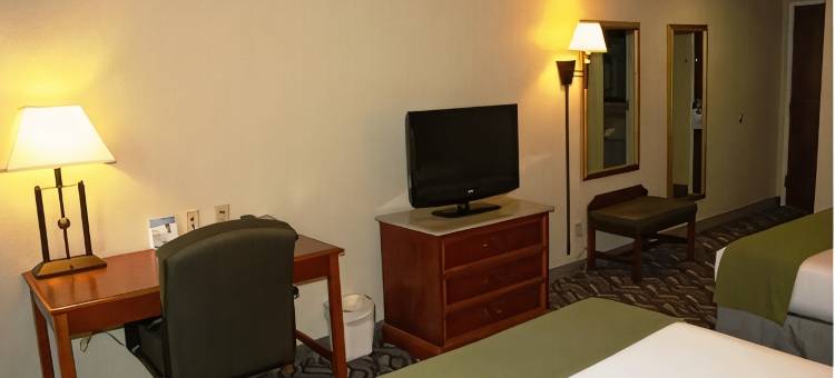 洛诺克I-40智选假日套房酒店(Holiday Inn Express & Suites LONOKE I-40 (EXIT 175) by IHG)图片