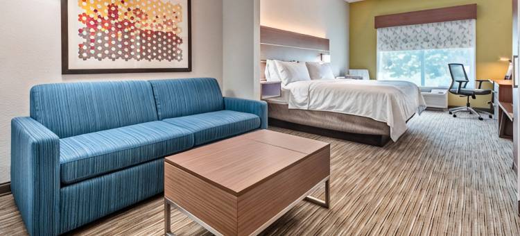 智选假日套房酒店苏黎世湖，巴林顿(Holiday Inn Express & Suites LAKE ZURICH-BARRINGTON by IHG)图片