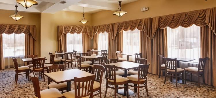 舒适套房酒店布鲁克- 沃斯堡西南(Comfort Suites Benbrook - Fort Worth Southwest)图片