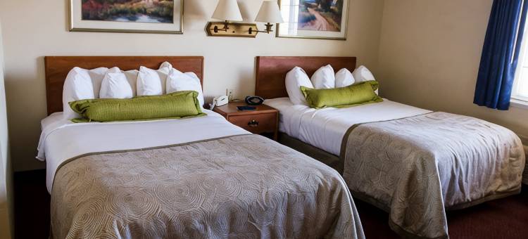 锡拉丘兹机场IHG Candlewood Suites酒店(Candlewood Suites Syracuse-Airport by IHG)图片